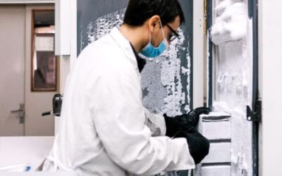Benefits Of Regular Ice Machine Maintenance